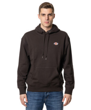 DICKIES FELPA DK0A4YLY MAS-1