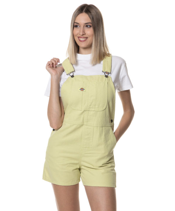 DICKIES SALOPETTE DKD0A4XPT VER-3