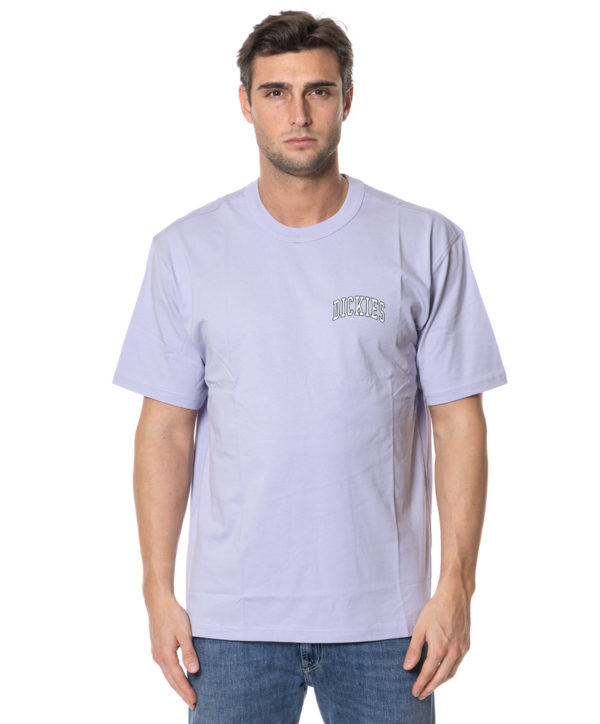 DICKIES T-SHIRT DK0A4Y8O UNI-1