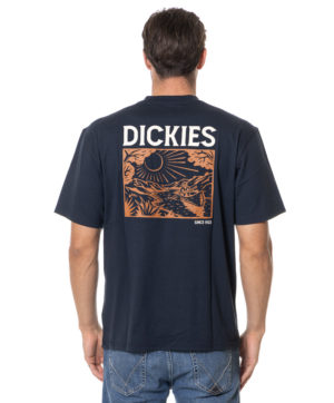 DICKIES T-SHIRT DK0A4YR7 BLU-2