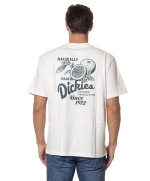 DICKIES T-SHIRT DK0A4YYM GHI-2