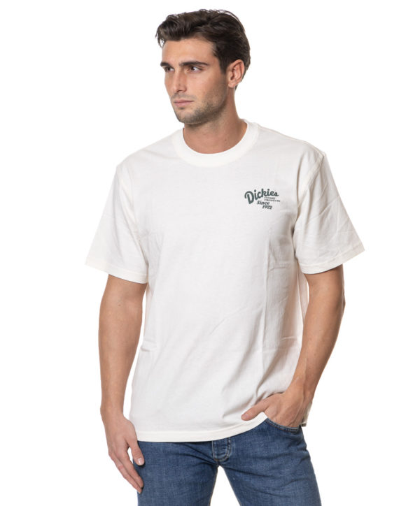 DICKIES T-SHIRT DK0A4YYM GHI-3