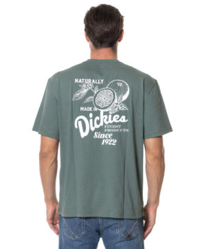 DICKIES T-SHIRT DK0A4YYM VES-2