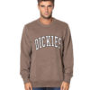 DICKIES FELPA DK0A4XAB MOR-1