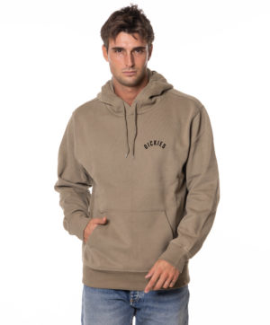 DICKIES FELPA DK0A87CI VER-3