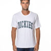 DICKIES T-SHIRT DK0A4X9F VER-1