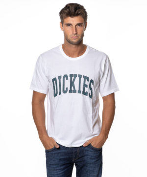 DICKIES T-SHIRT DK0A4X9F VER-3