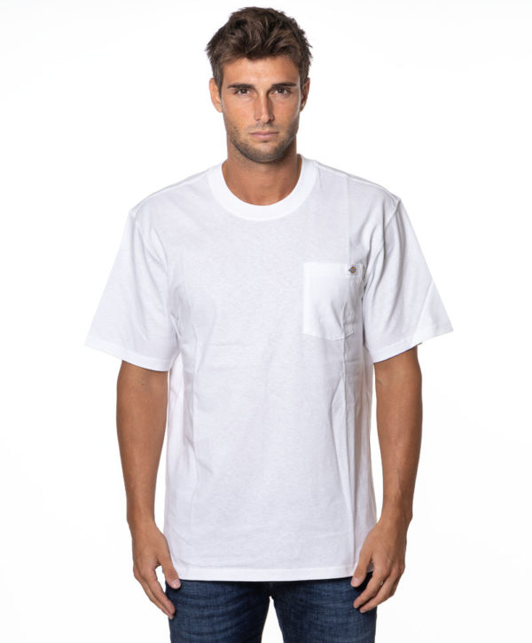 DICKIES T-SHIRT DK0A4YFC 14-1