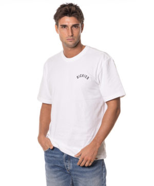 DICKIES T-SHIRT DK0A4Z4I BIA-3