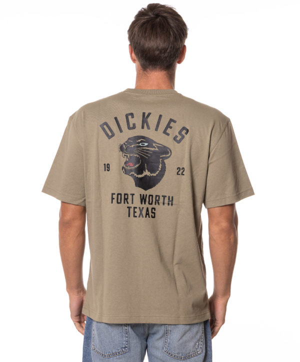 DICKIES T-SHIRT DK0A4Z4I VER-2