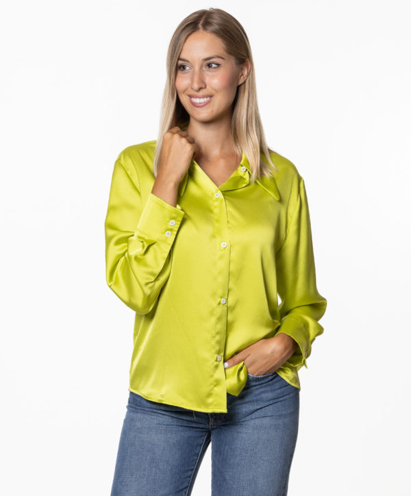 HAPPY 25! CAMICIA HA3446EMPATIA VEC-3
