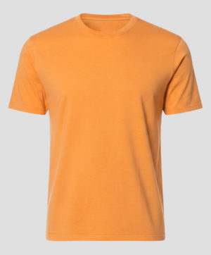 GRIFONI T-SHIRT GMGQ18000154M B6-2